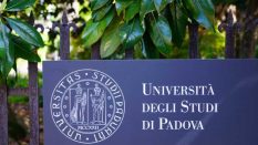 Padova Üniversitesi