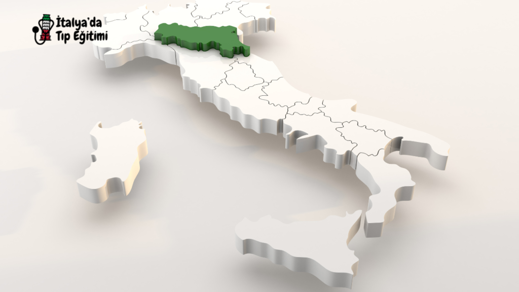 Arezzo Nerededir, Tarihçesi ve Özellikleri